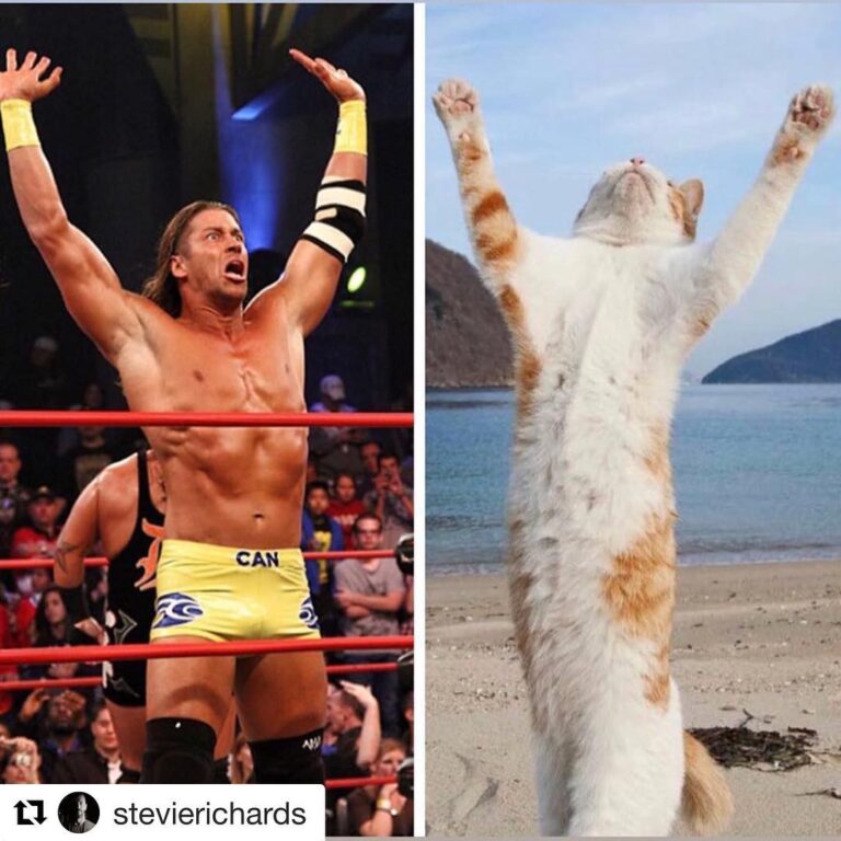 With ・・・ Happy Caturday everyone! . . . . .