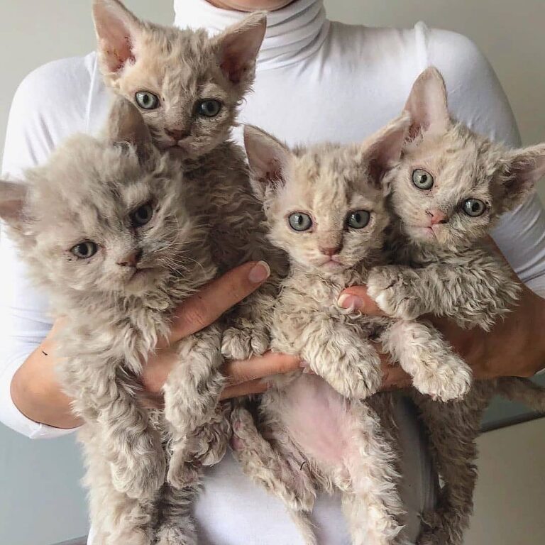 So UNIQUE and cute . From . Follow us if you like our posts and