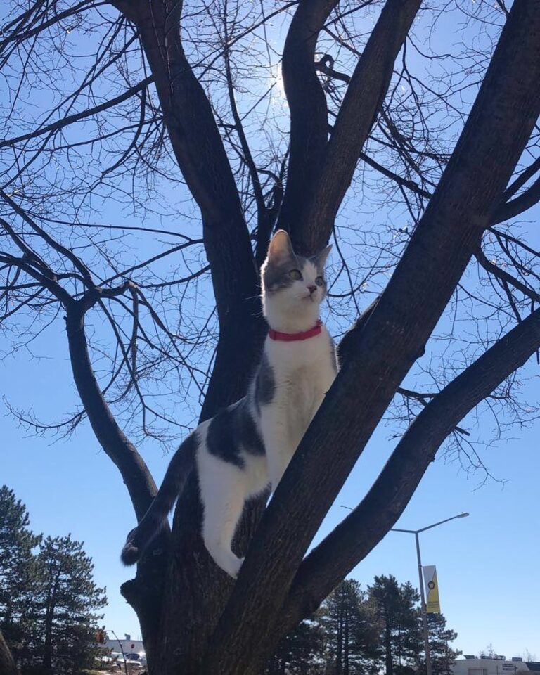 Someone’s glad the sun is out again! . . .
