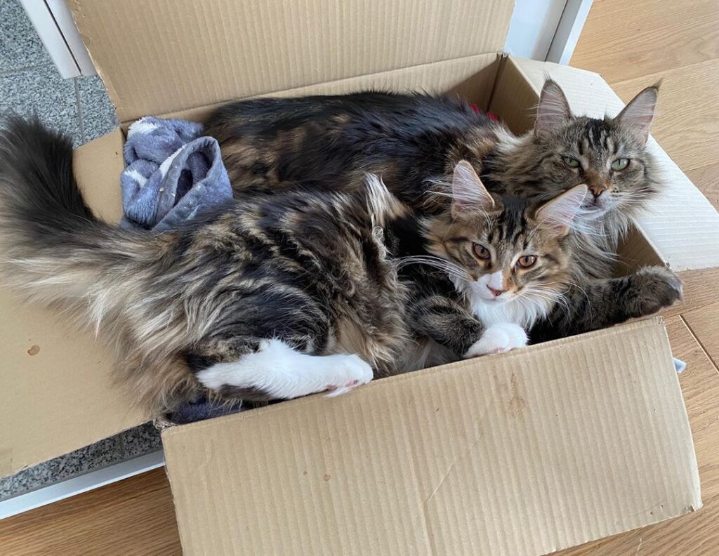 Soon there won’t be enough space for both of them . . . .