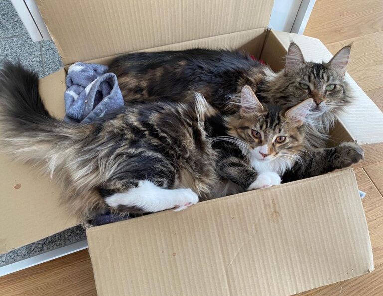 Soon there won’t be enough space for both of them . . . .