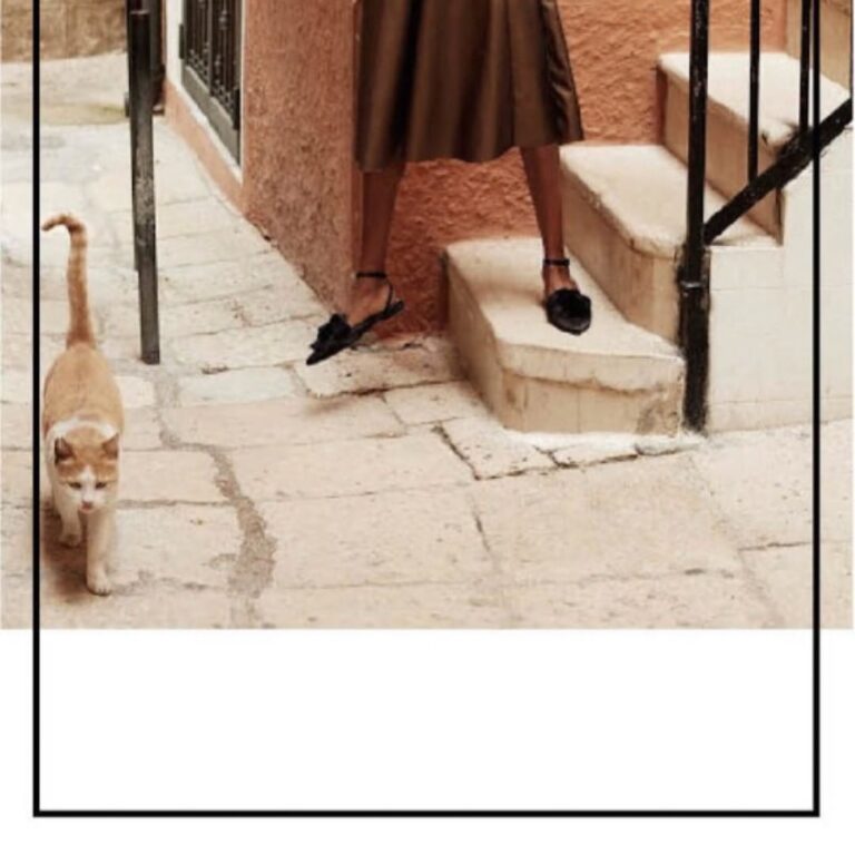 Special guest , the cute cat of Bari models for us! A sneak-peak of