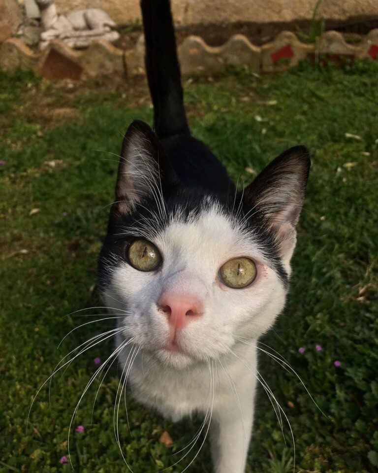 Tengo a la mamá mas pesada del mundo !!! Que alguien le diga que no
