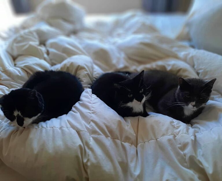 The closest all 3 of them have actually ever been in for+ years that