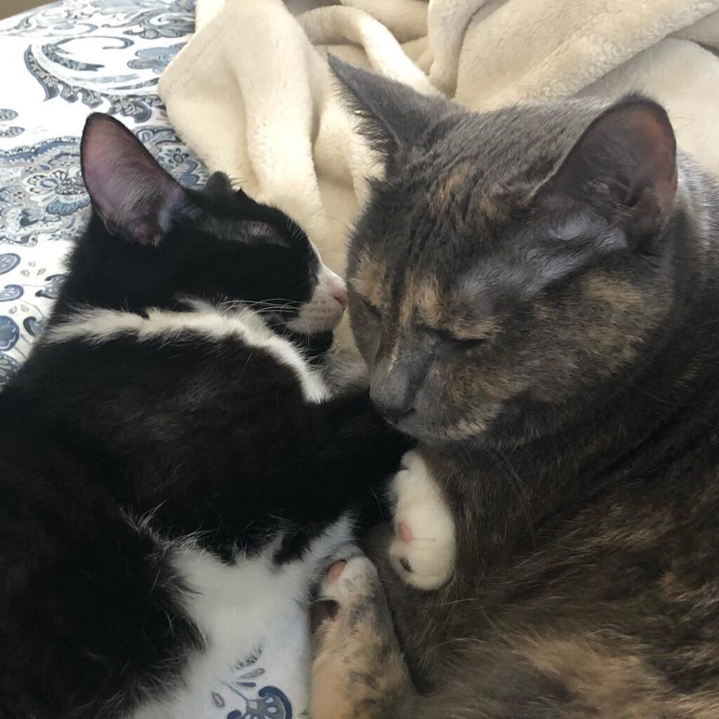 The very best big sis.