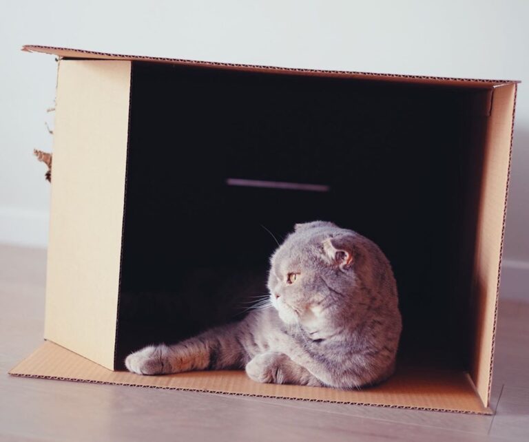 Think outside the box . . .