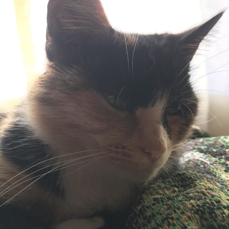 This is Klaus’s sister ,Louise. She showed up severely malnourished