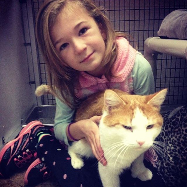 This is me in the Alexandria Animal Shelter 3 years ago! Today is my