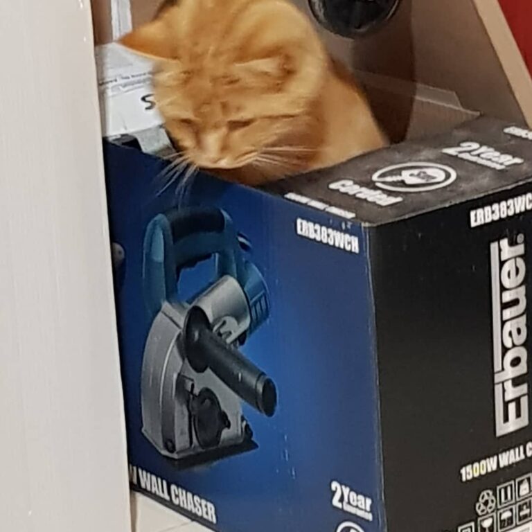 Thought I’d bought a wall chaser when I opened the box it was a