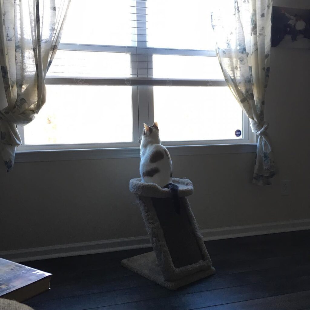 Tye finally got his window back after the holidays! Now he can keep a