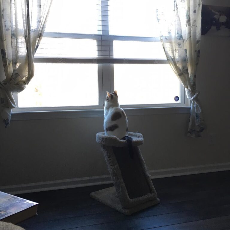 Tye finally got his window back after the holidays! Now he can keep a