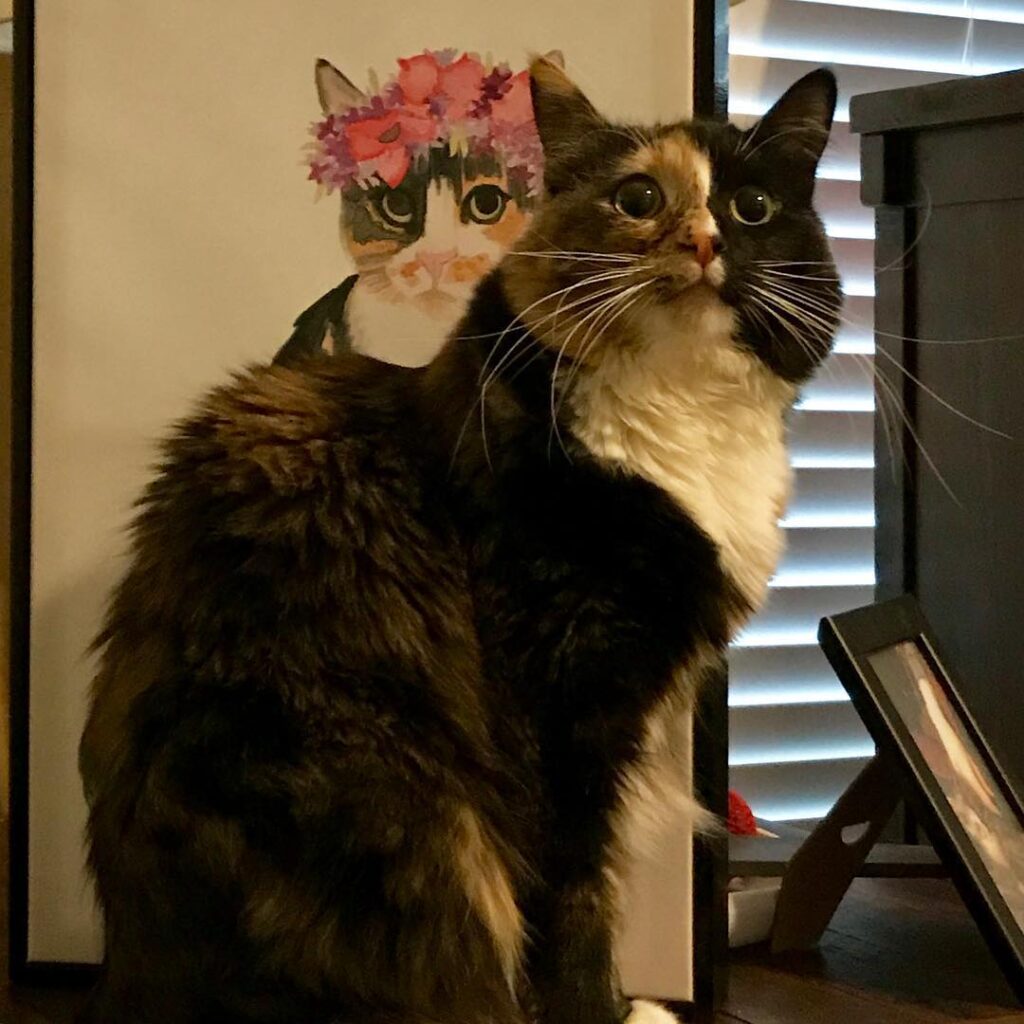 Umm, mom, what is this?!? . . . . . . . . . .
