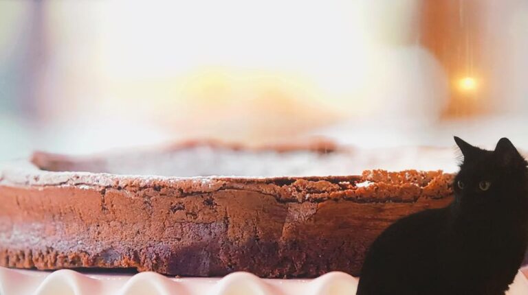 Vader wants to bake a flourless chocolate cake today.