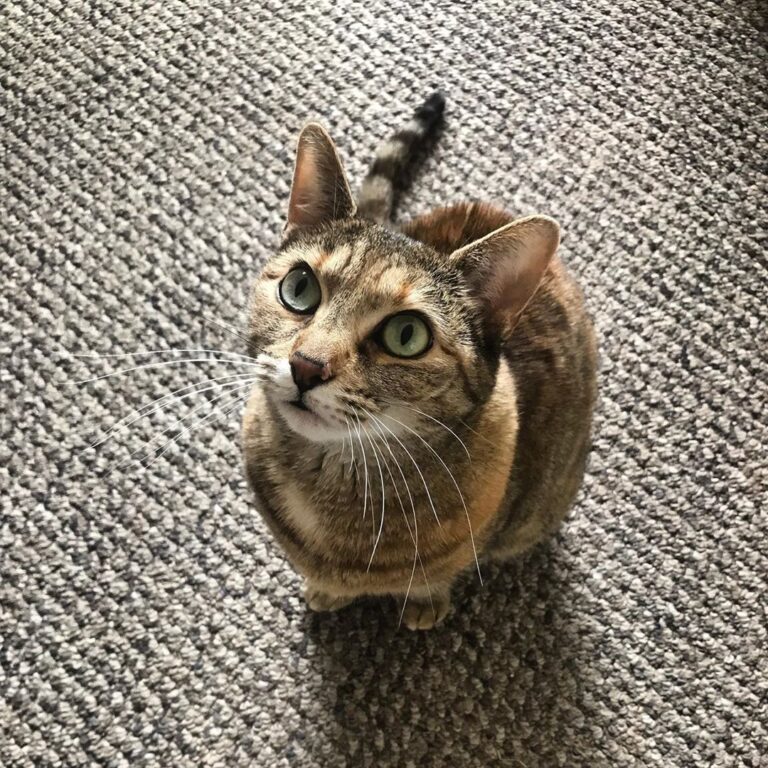 Watching mom eat breakfast like