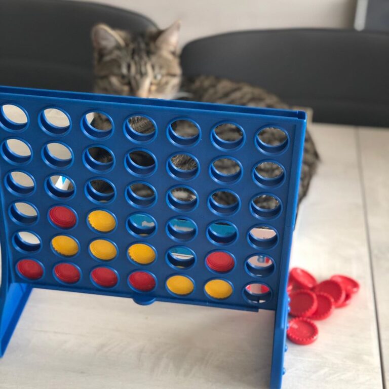We spelen een spel vanavond, van ravensburger