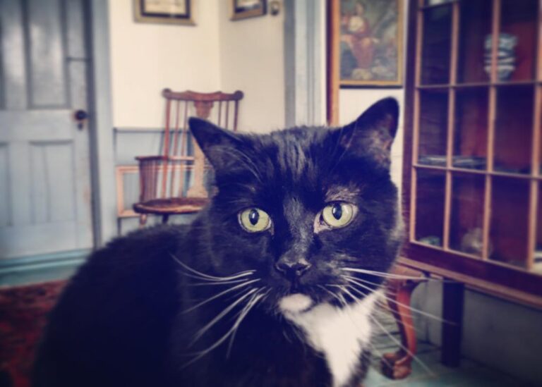 Webster.