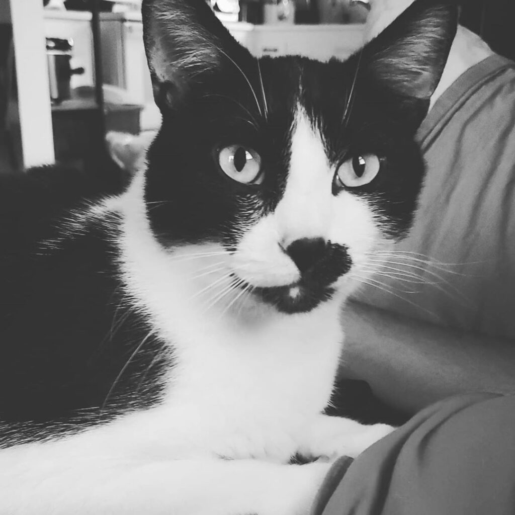 What a handsome boy!! .