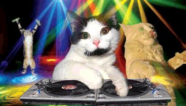 What are you doing right meow?? You should come to !!! . . .