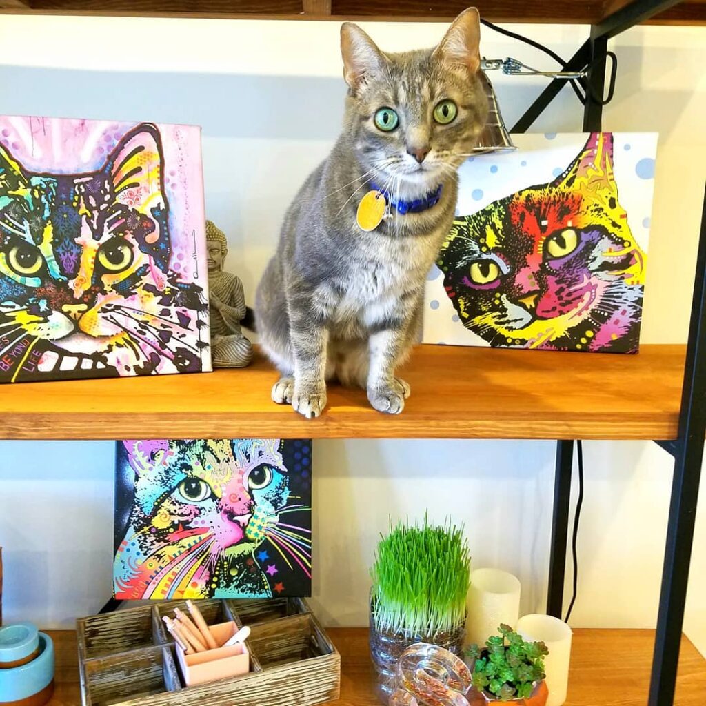 Who wore it best? Which painting looks the most like Walrus?