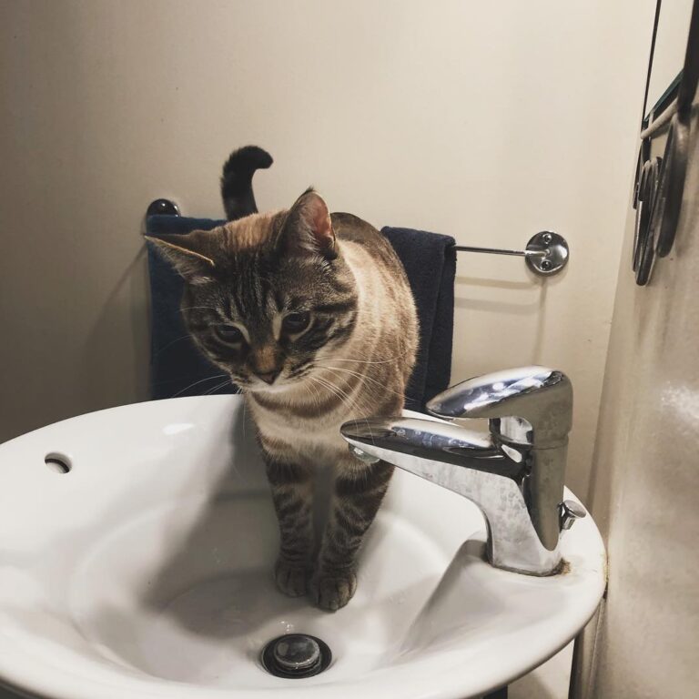 Why did you turn the water off? I wanted to play in it