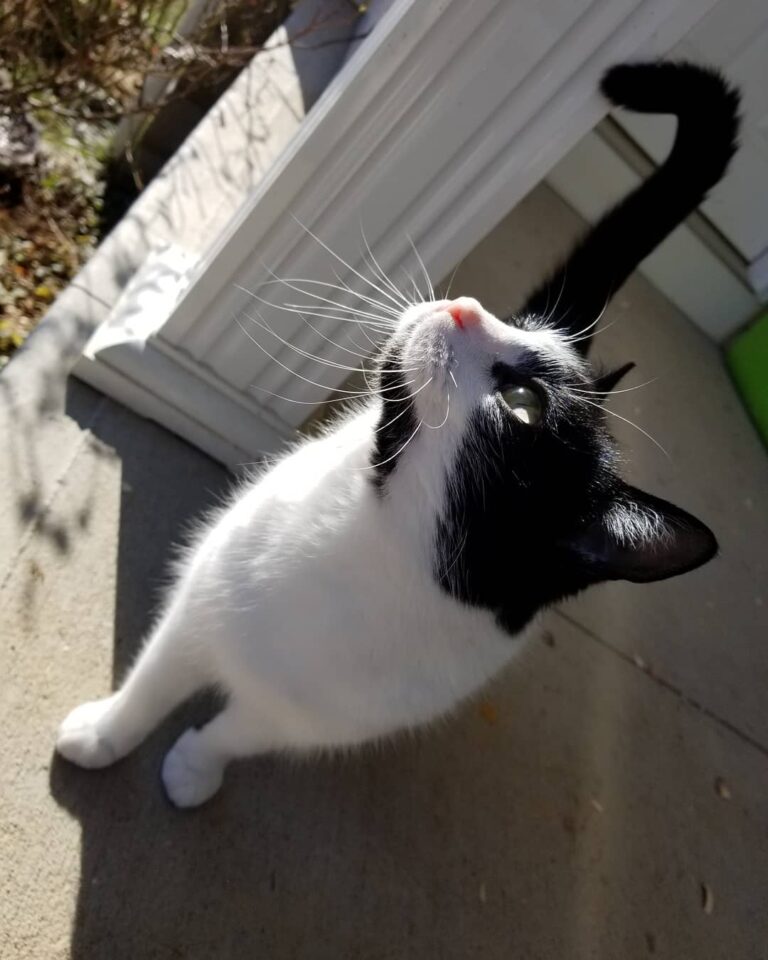 Wish I was this photogenic. . . . . . { }