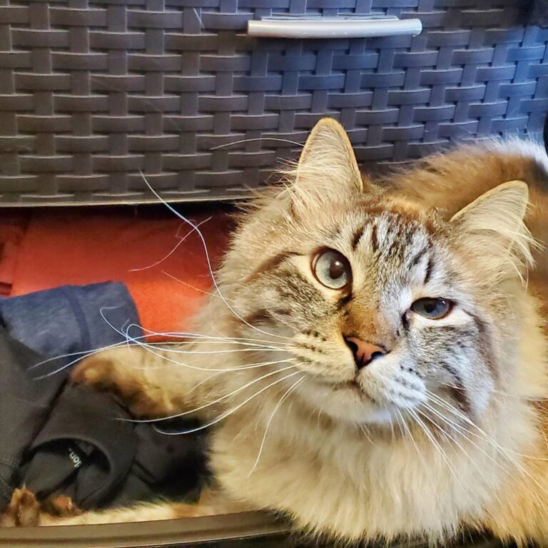 Also found a new resting spot. good quality kneading grounds