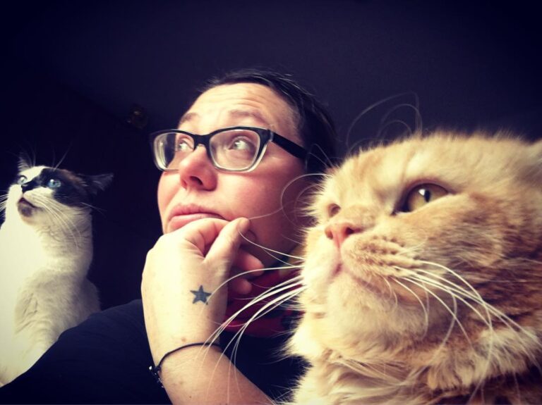 Waiting for the a los reyes magos de oriente #貓 #猫 #แมว #고양이