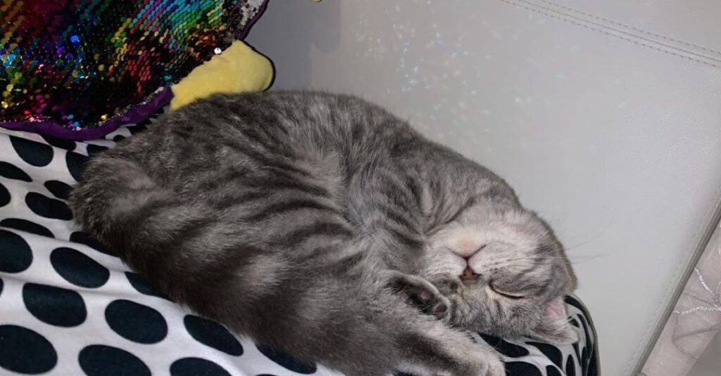 ‏the first step to acheieve your dreams is to wake up.. ‏- يلا ليو