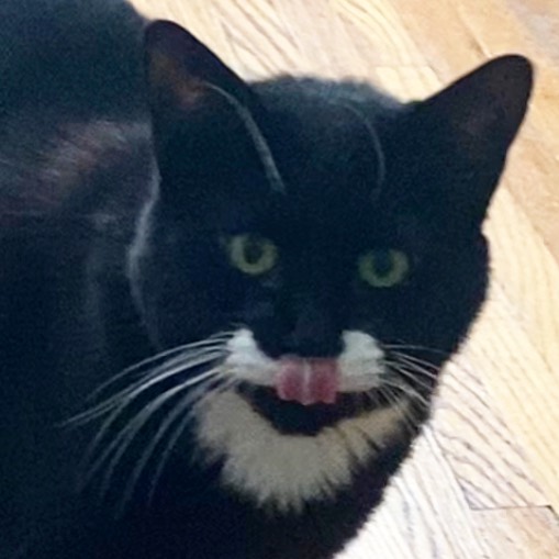 A case of the tasty face.