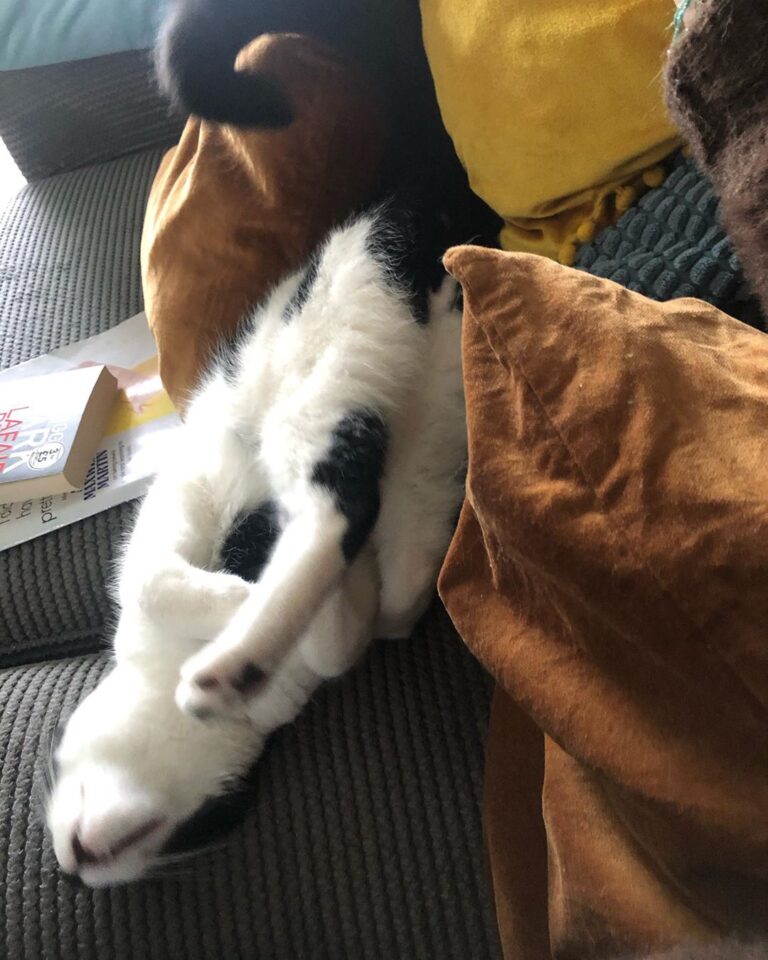And today I will sleep upside down, let’s see if this world makes
