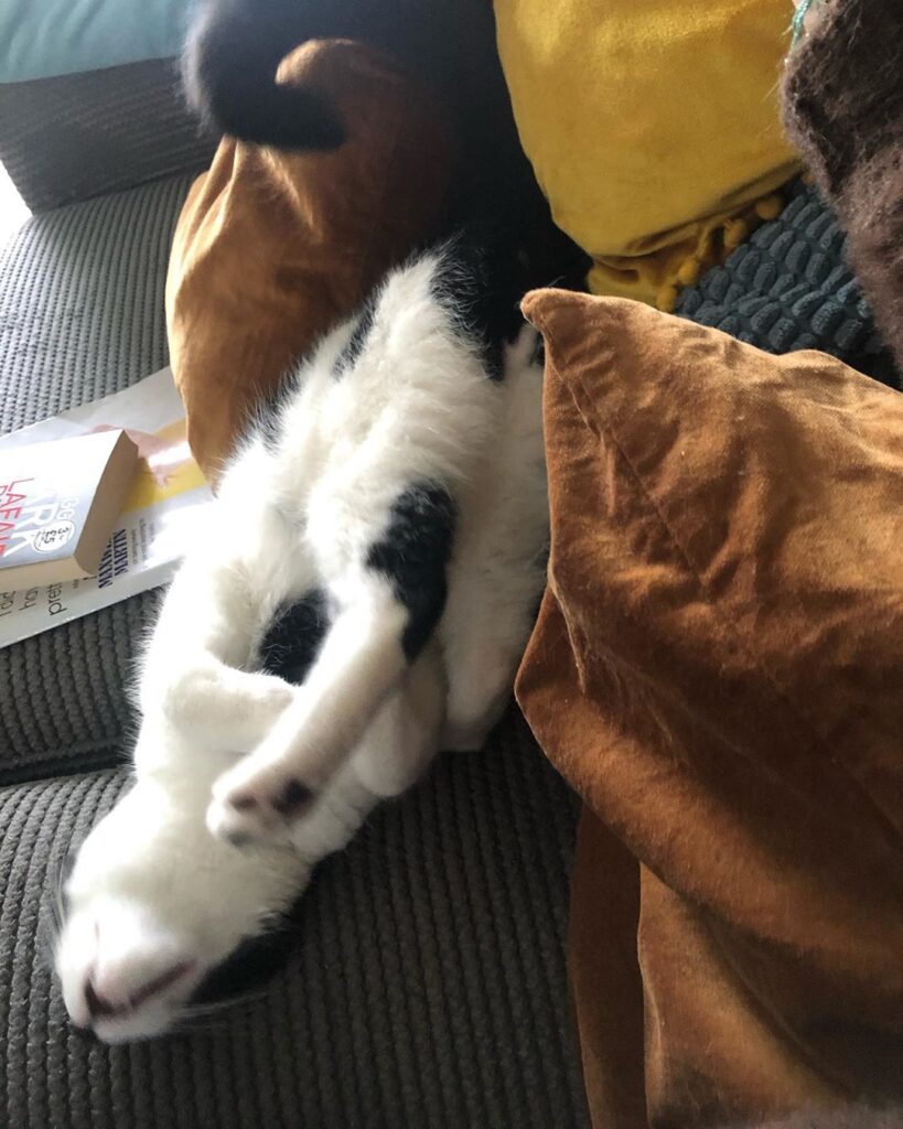And today I will sleep upside down, let’s see if this world makes