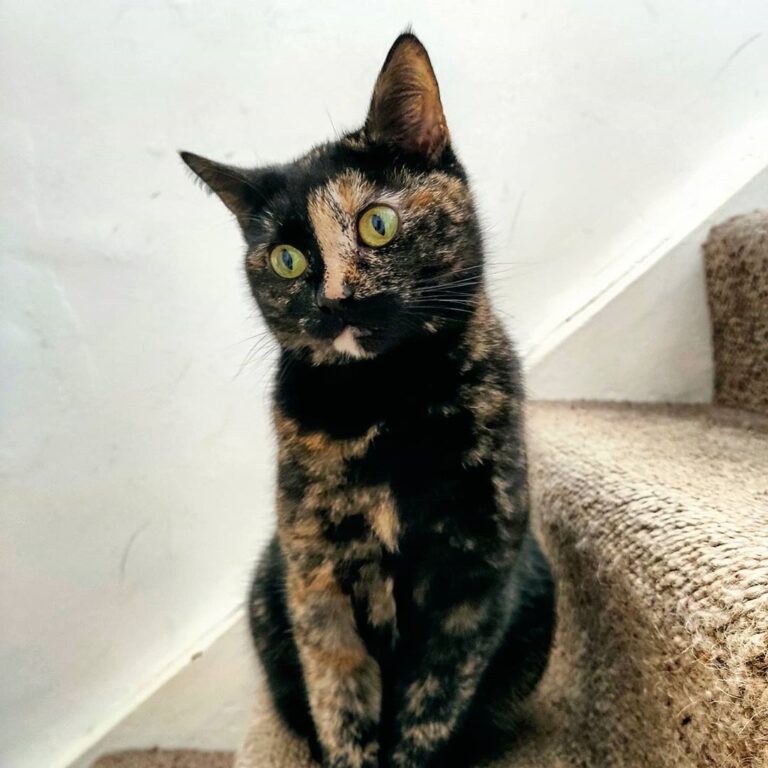 Any treats?
