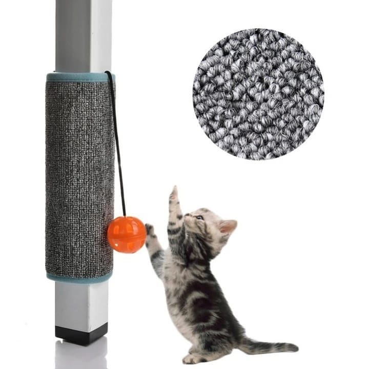 Are you constantly concerned that your cat is going to scratch your