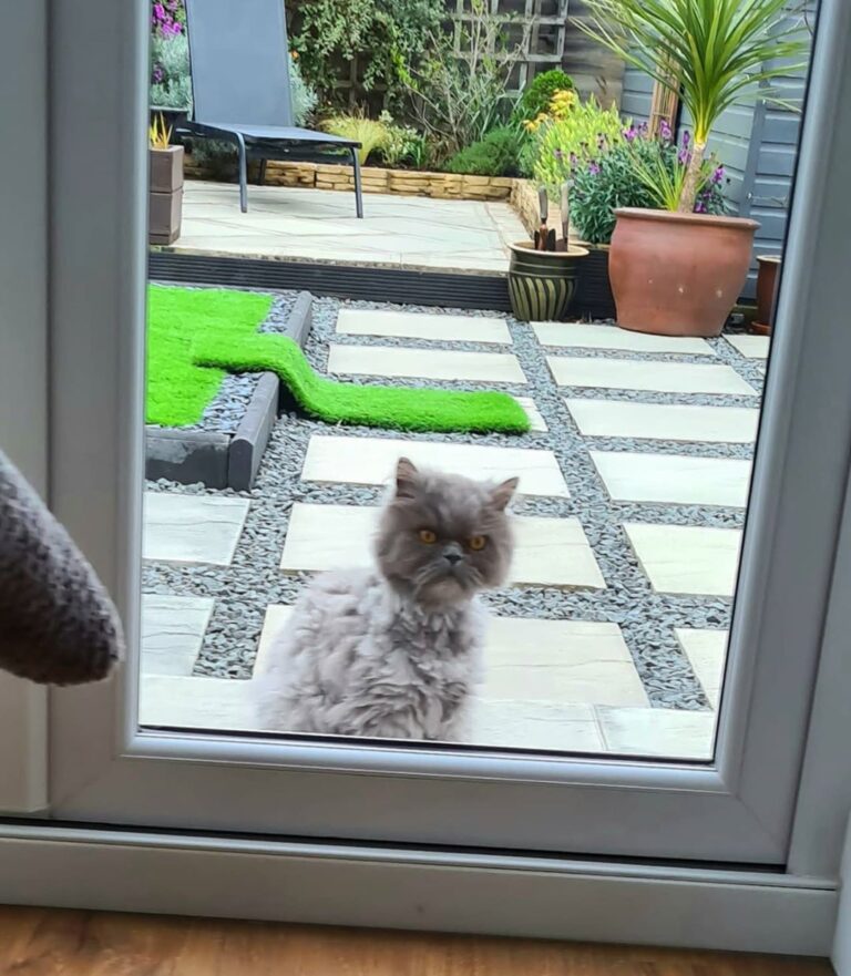 Can I come in please dad