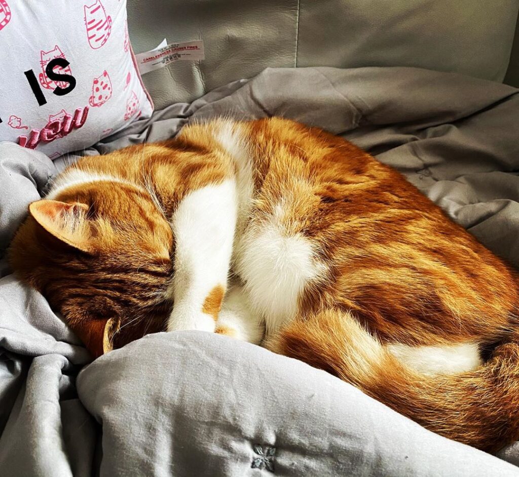 Day 1: sleeping