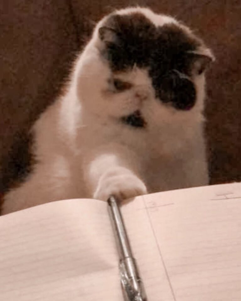 Dear diary, I’m really fed up with these people being home all the