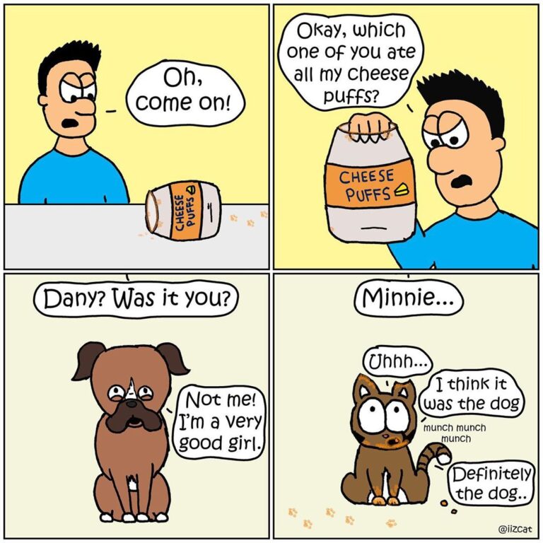 Definitely not the cat… definitely