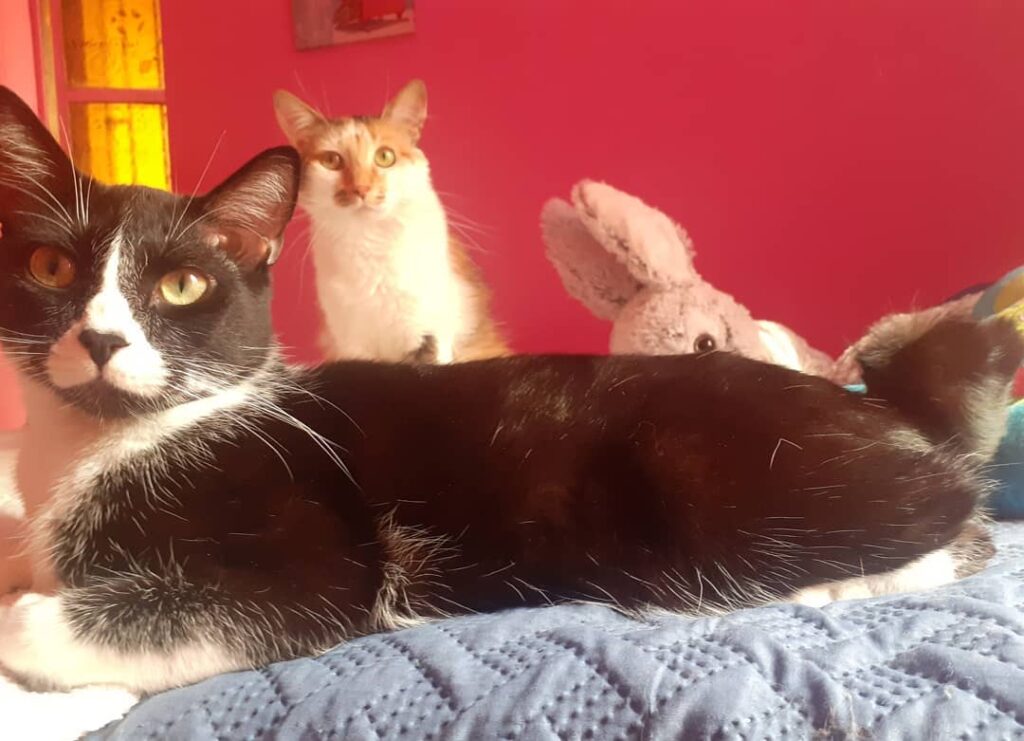 Día de descanso junto a mis hermanitos, tomando un baño de sol en la