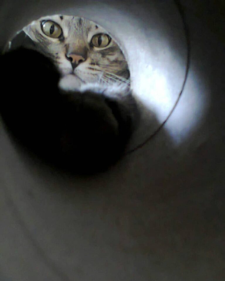 Direto do túnel do tempo. Quer ser nosso amigo? Siga-nos seguiremos