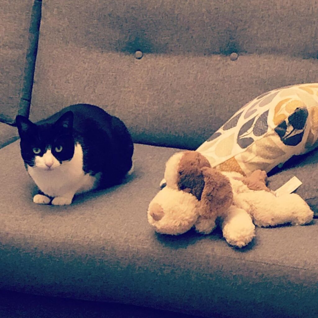 Edie just hanging with her bro
