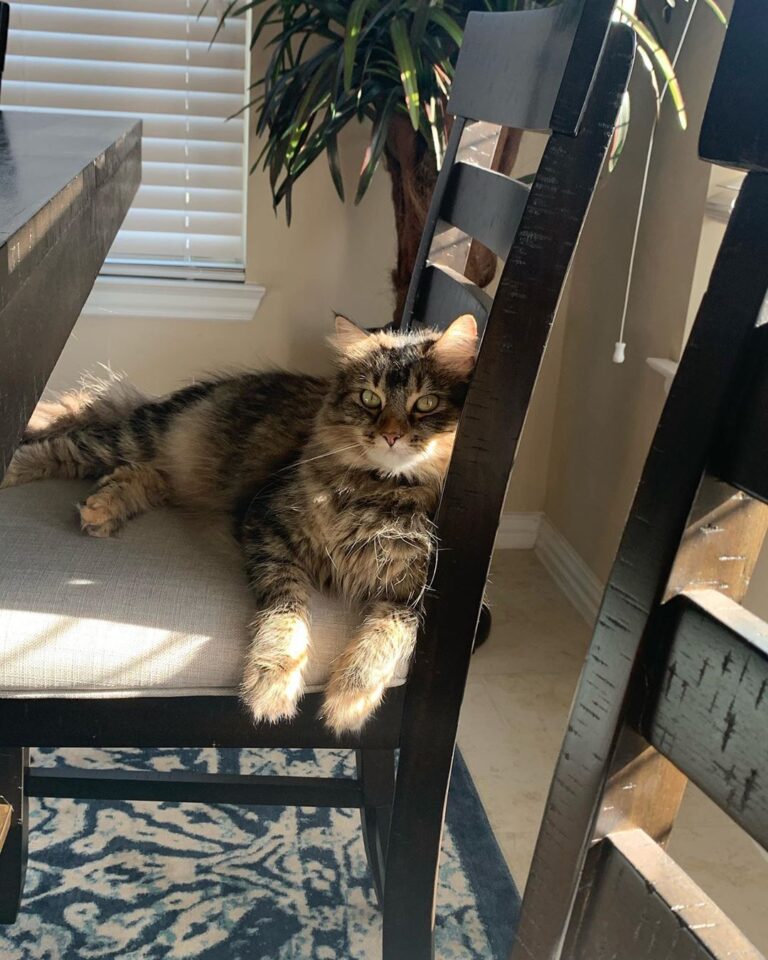 Enjoying the sun in my seat . . .