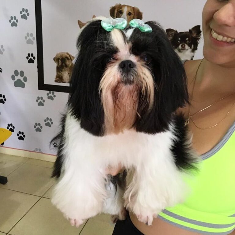 Foto rara da Nina Pq além de linda, ela é super tímida na hora de