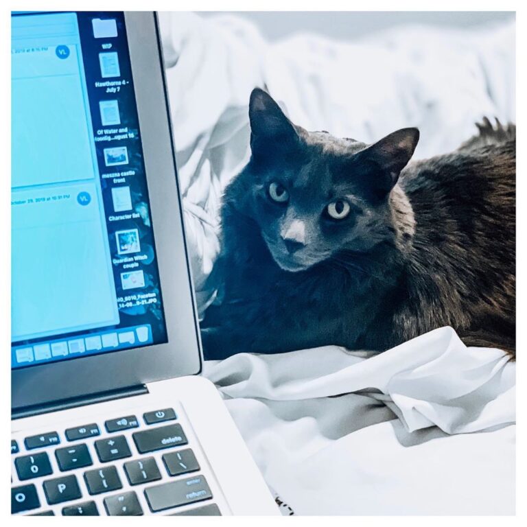 Happy Saturday, friends! Today, I’m hard at work on finishing up the