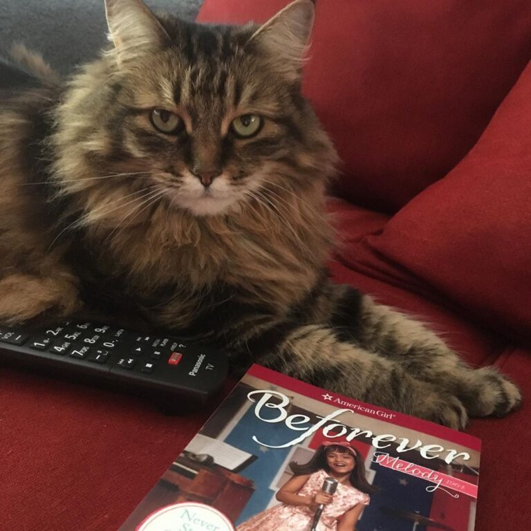 Happy ! Is this undecided weather day a better day to read or watch