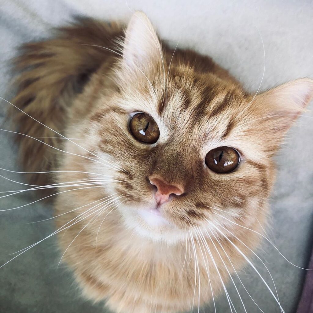 Hello It’s Me • • • • • • •