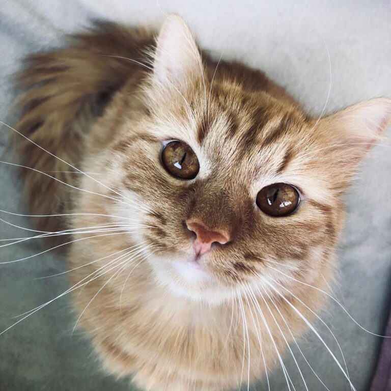 Hello It’s Me • • • • • • •