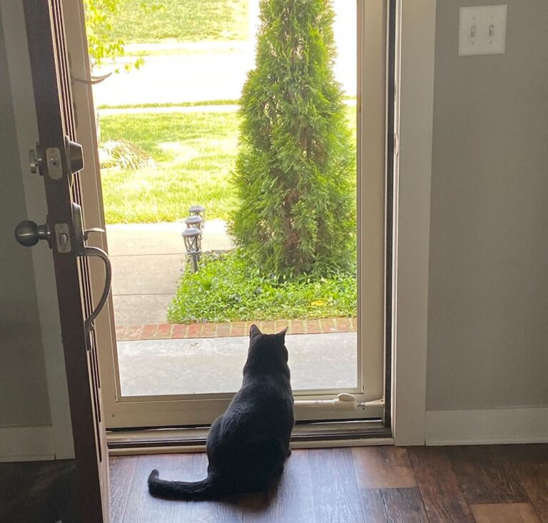 He’s home
