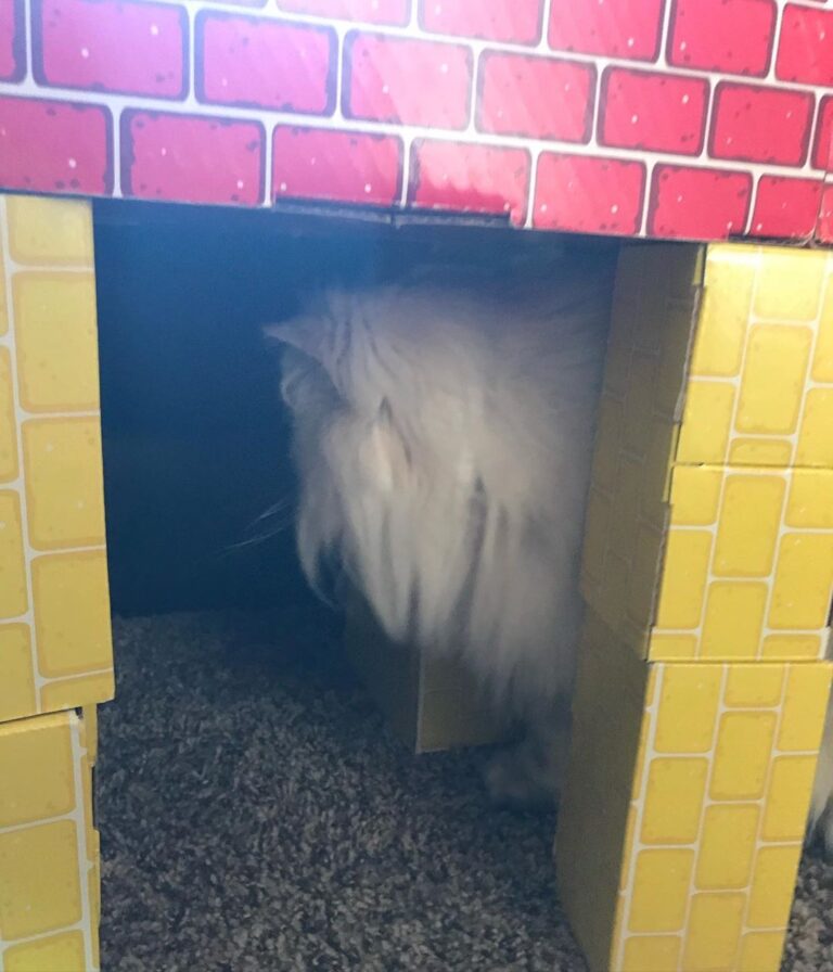 Hmmm tis ez niz. Mee hoomunz made me a hoom. (More of the story to