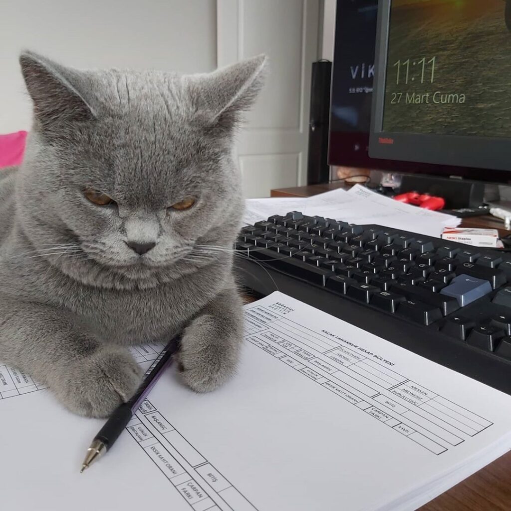 Home office work work