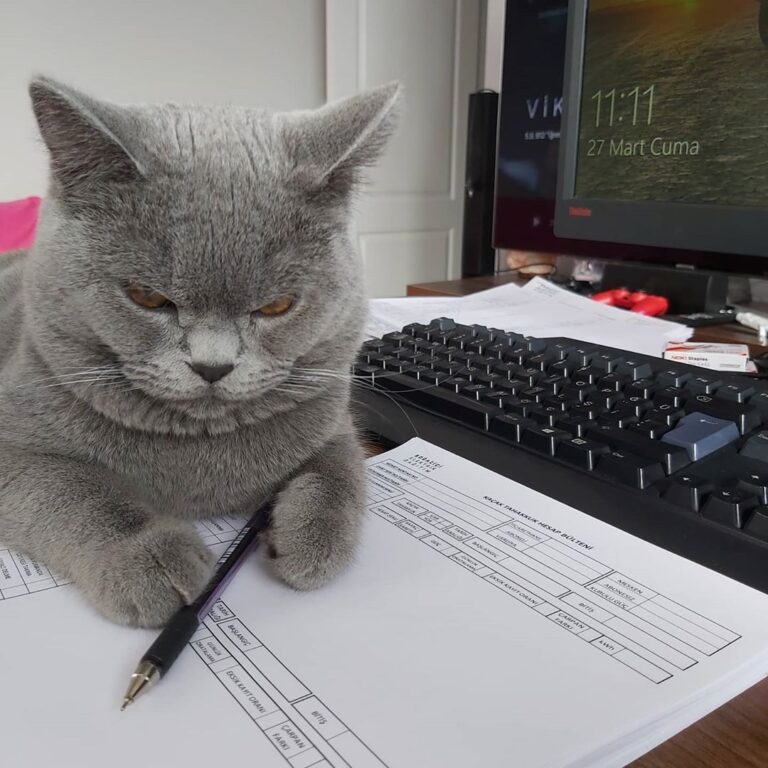 Home office work work
